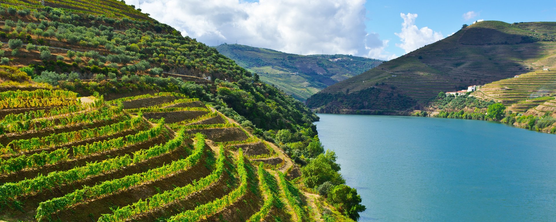 Douro Erlebnis 2025